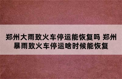 郑州大雨致火车停运能恢复吗 郑州暴雨致火车停运啥时候能恢复